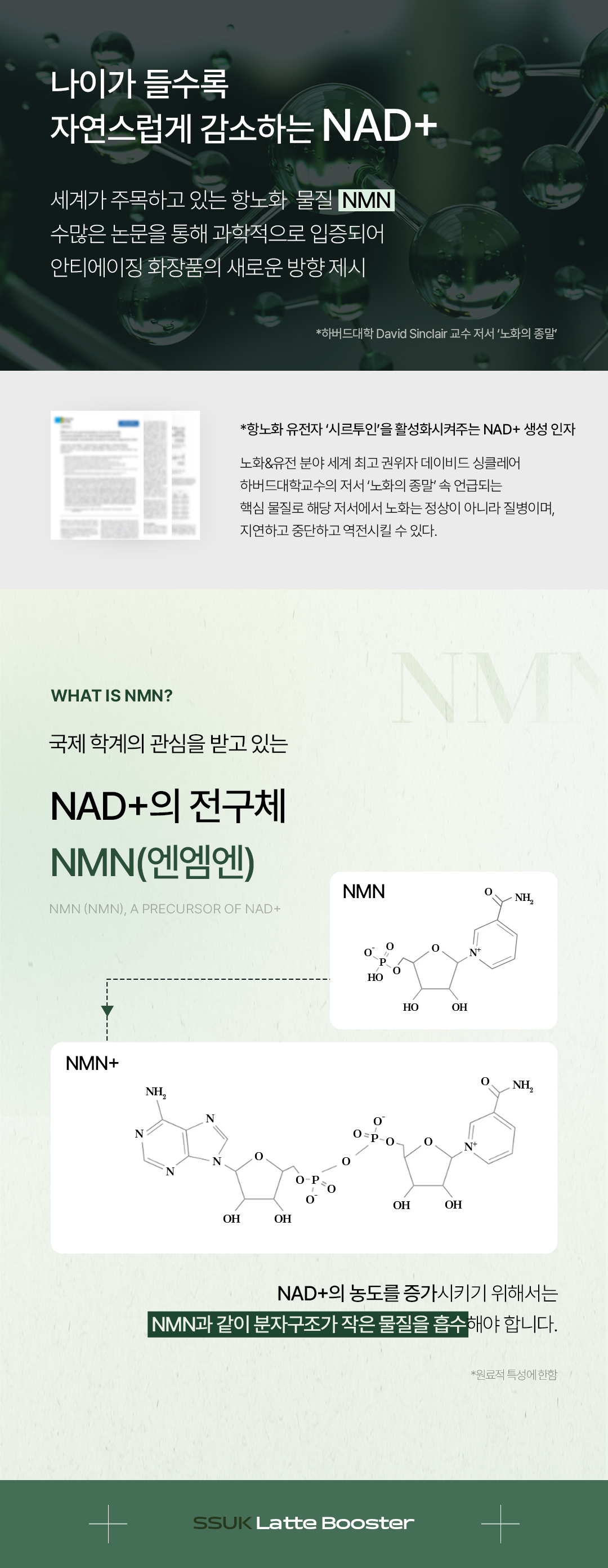 [비밸런스] 쑥 부스터
