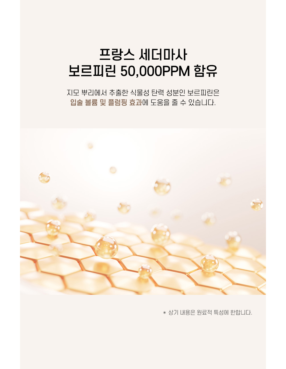 [로지드] 립 전 제품 무조건 1+1 골라담기