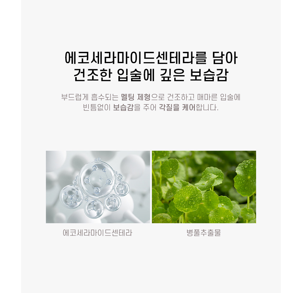 [로지드] 립 전 제품 무조건 1+1 골라담기