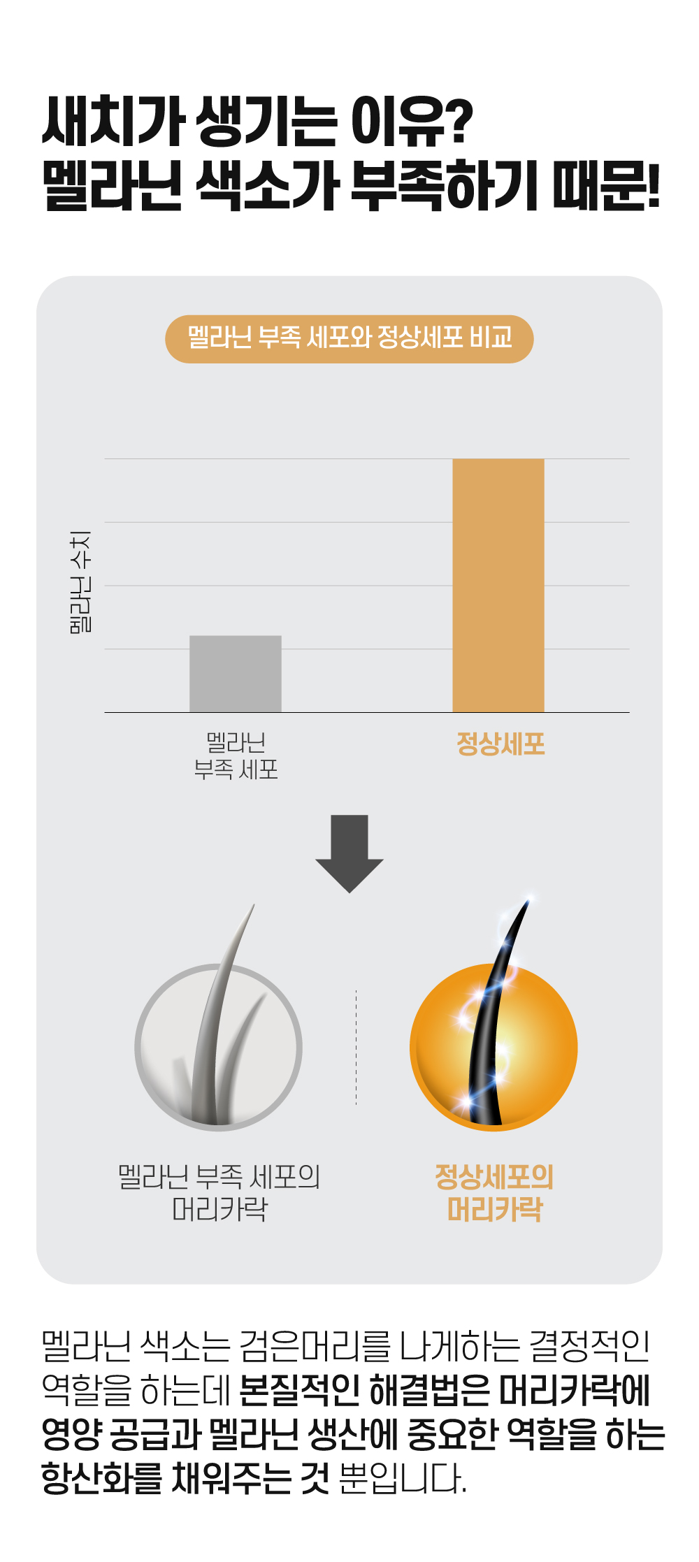 [스미브] 락토바이오 컬러체인지 염색샴푸200ml