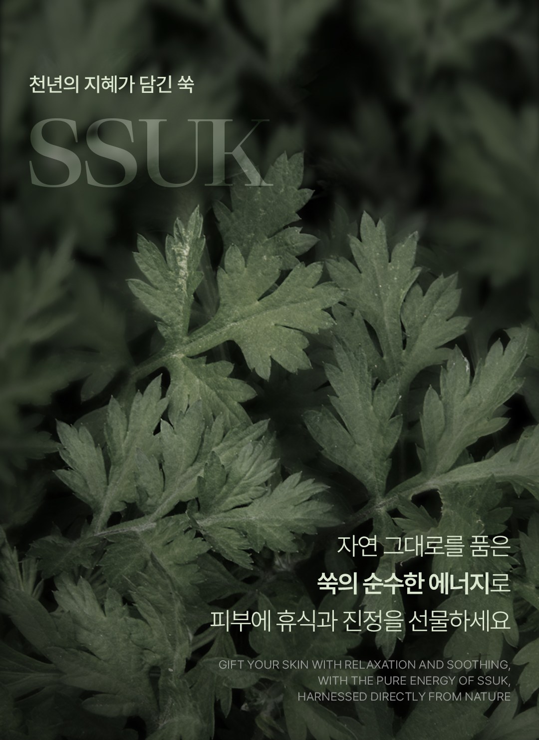 [비밸런스] 쑥 부스터