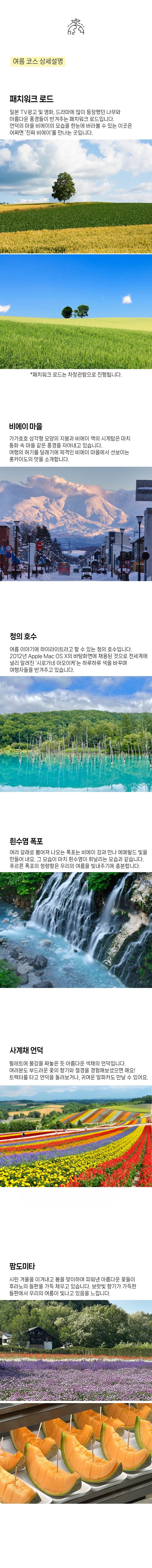 준페이 매장에서 여유롭게! 삿포로 비에이-후라노 버스투어