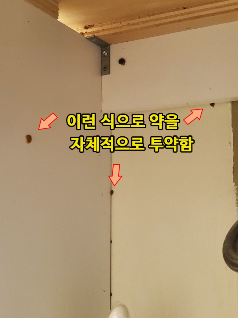 미국바퀴벌레 퇴치, 엄지손가락만한 바퀴벌레 퇴치 방법 : 사진,동영상 갤러리 미국바퀴벌레 퇴치, 엄지손가락만한 바퀴벌레 퇴치 방법 : 사진,동영상 갤러리