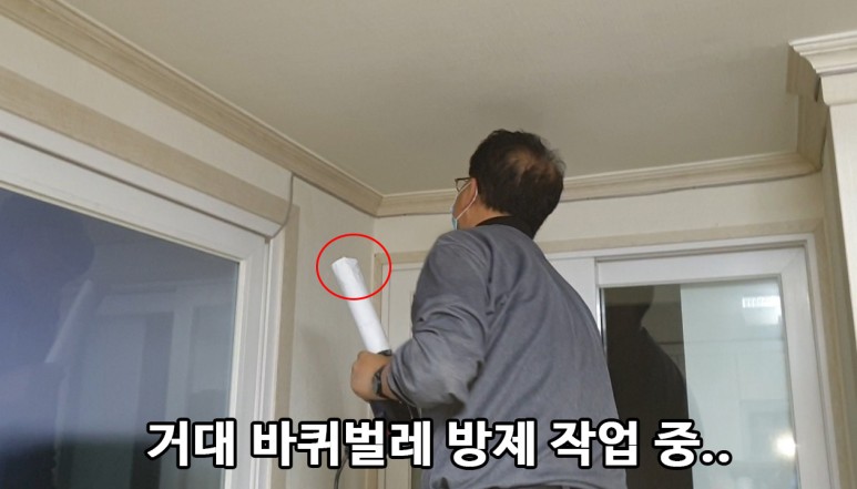 미국바퀴벌레 퇴치, 엄지손가락만한 바퀴벌레 퇴치 방법 : 사진,동영상 갤러리 미국바퀴벌레 퇴치, 엄지손가락만한 바퀴벌레 퇴치 방법 : 사진,동영상 갤러리