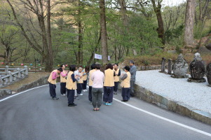 9f05f042f3311.jpg