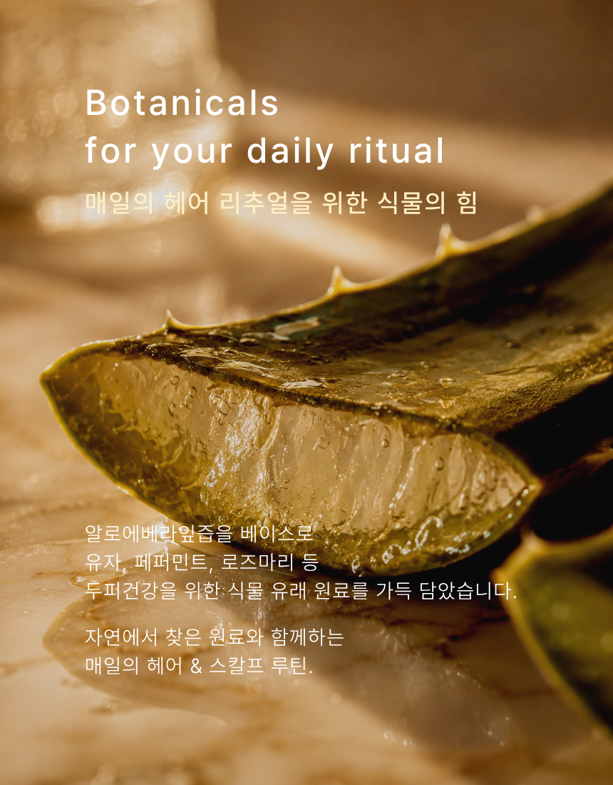 클리스 헤어 앤 스칼프 수딩 샴푸 & 트리트먼트