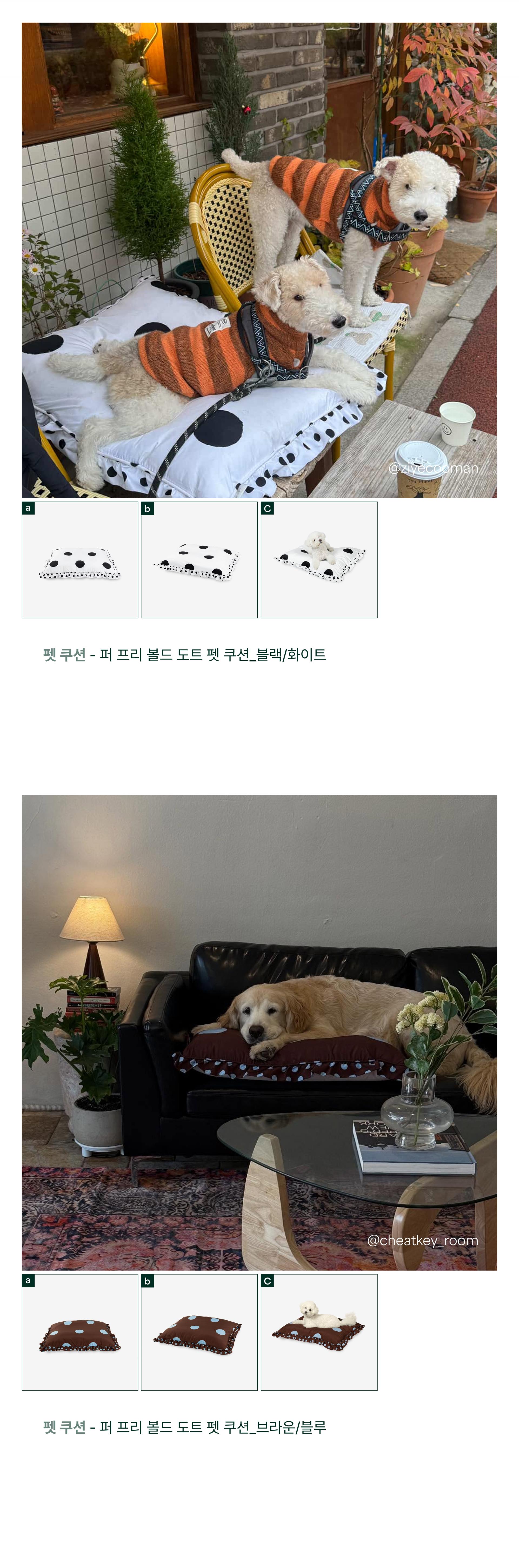 퍼 프리 볼드 도트 펫쿠션(솜 미포함)_브라운/블루