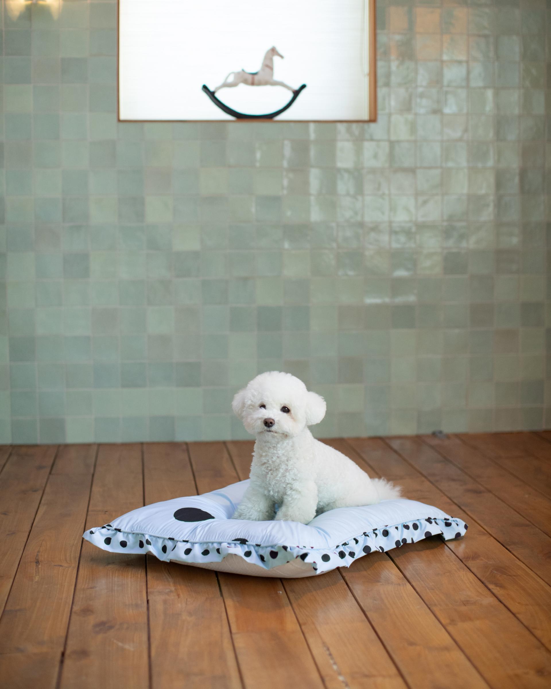 퍼 프리 볼드 도트 펫쿠션(솜 미포함)_스카이블루/네이비