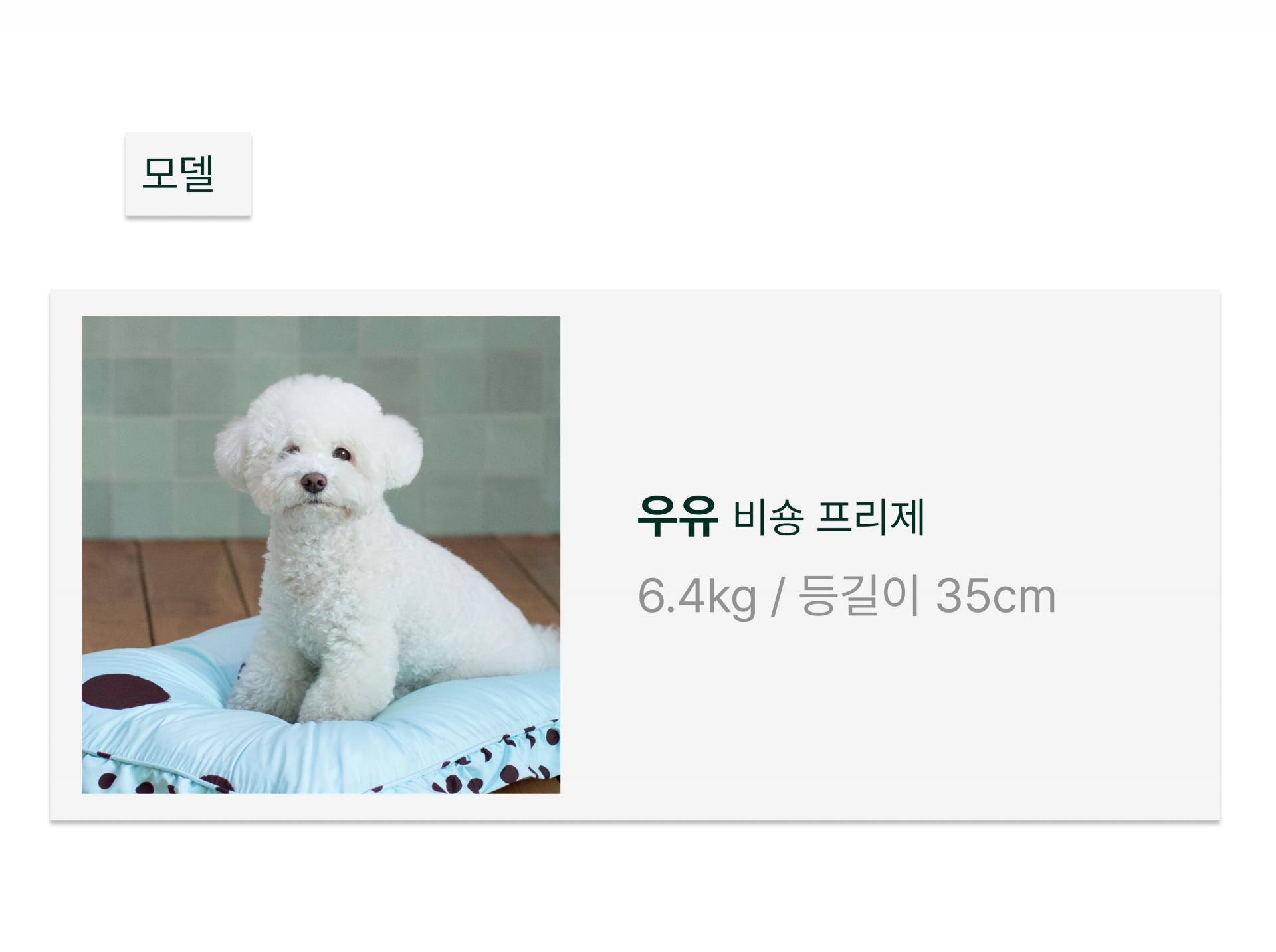 퍼 프리 볼드 도트 펫쿠션(솜 미포함)_브라운/블루