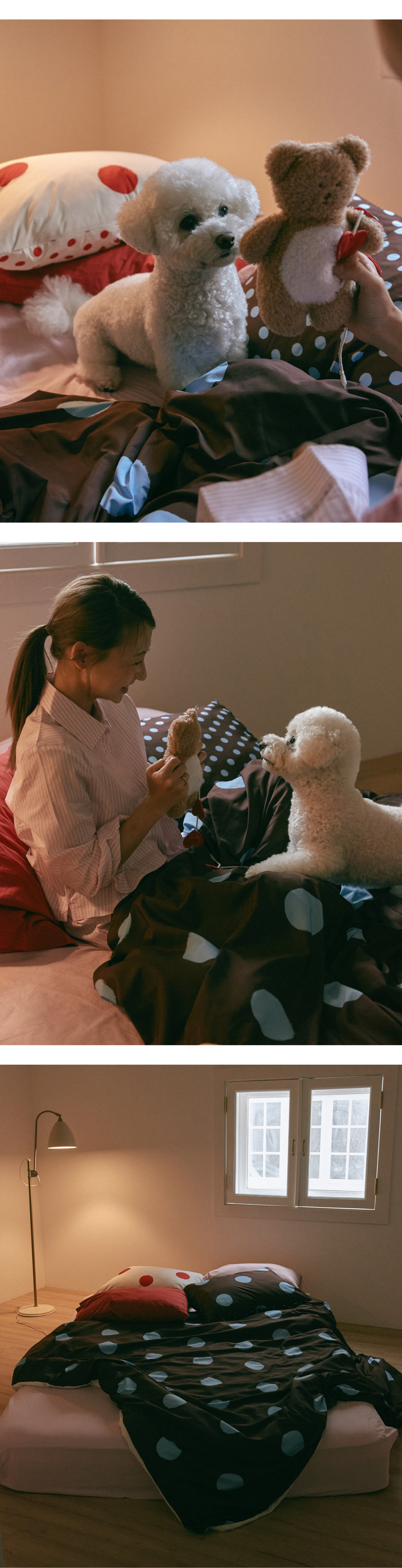 퍼 프리 모달 볼드 도트 이불 커버_브라운/블루