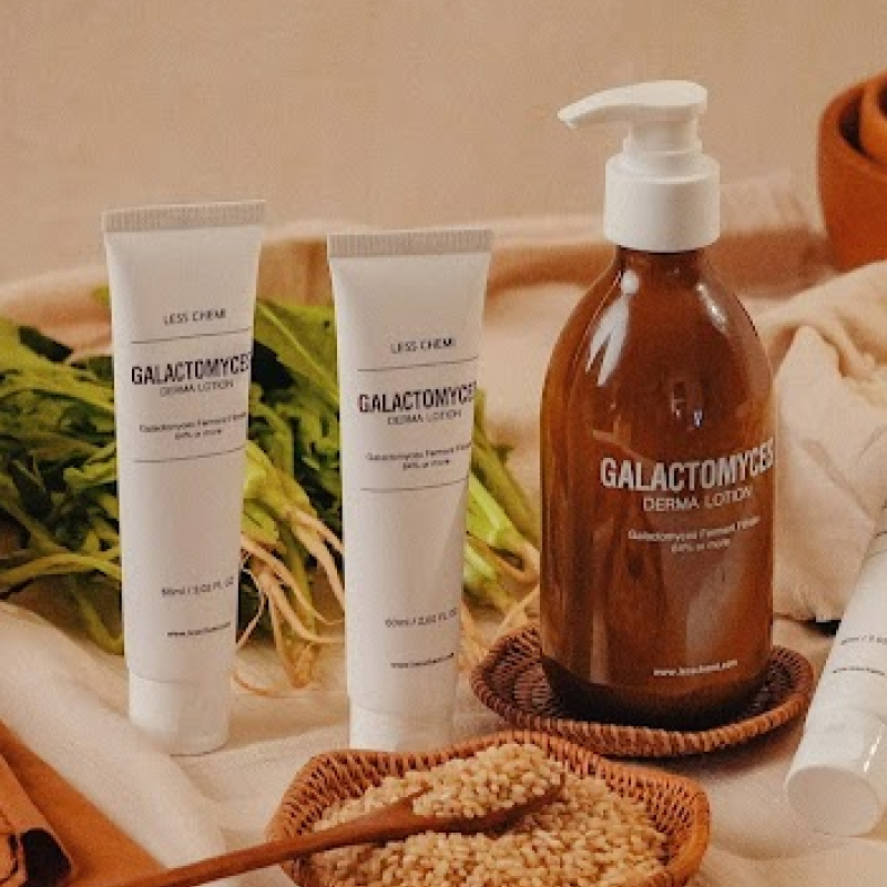 레스케미 직접투자