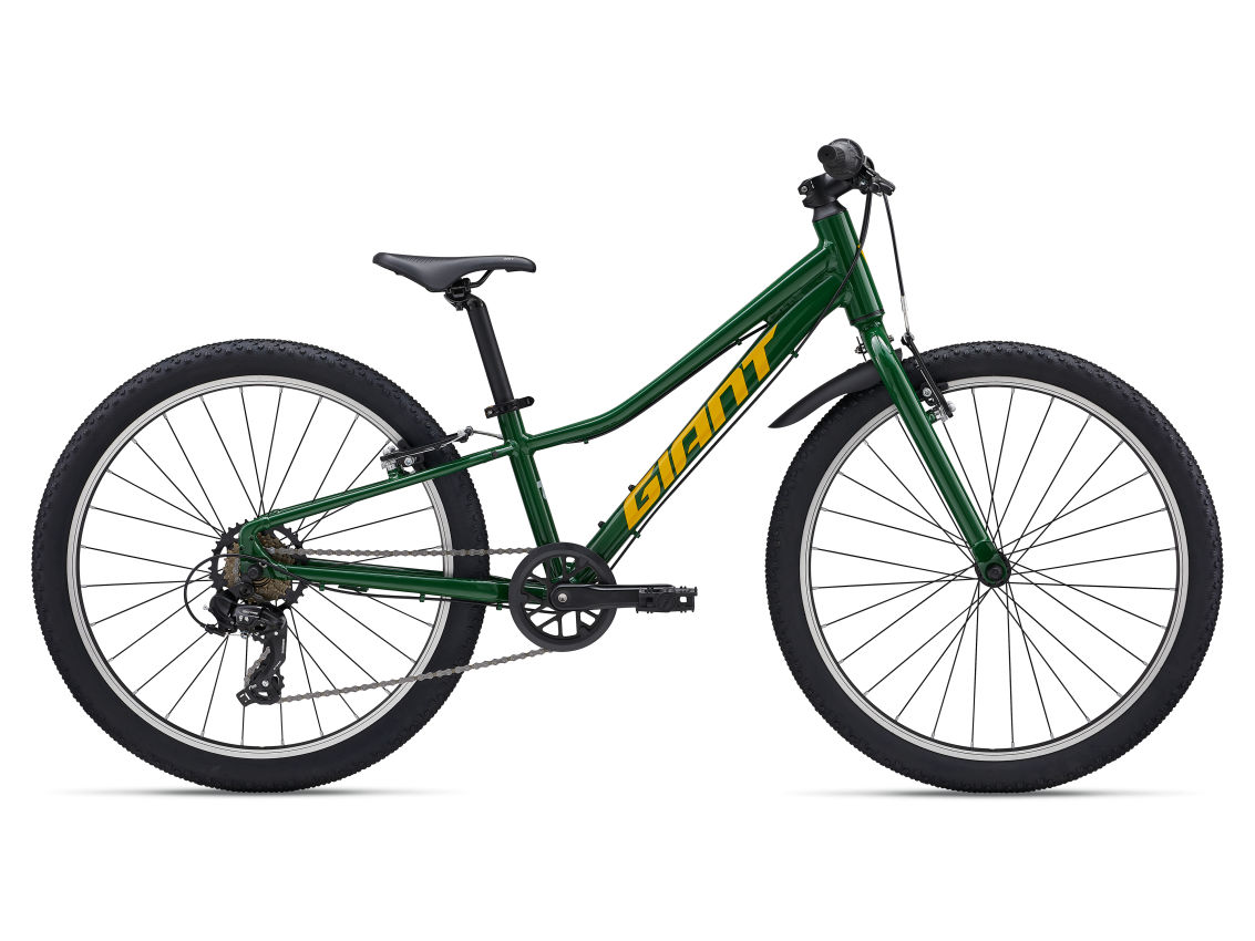 2027년 자이언트 타론 24 라이트 Verdant Green