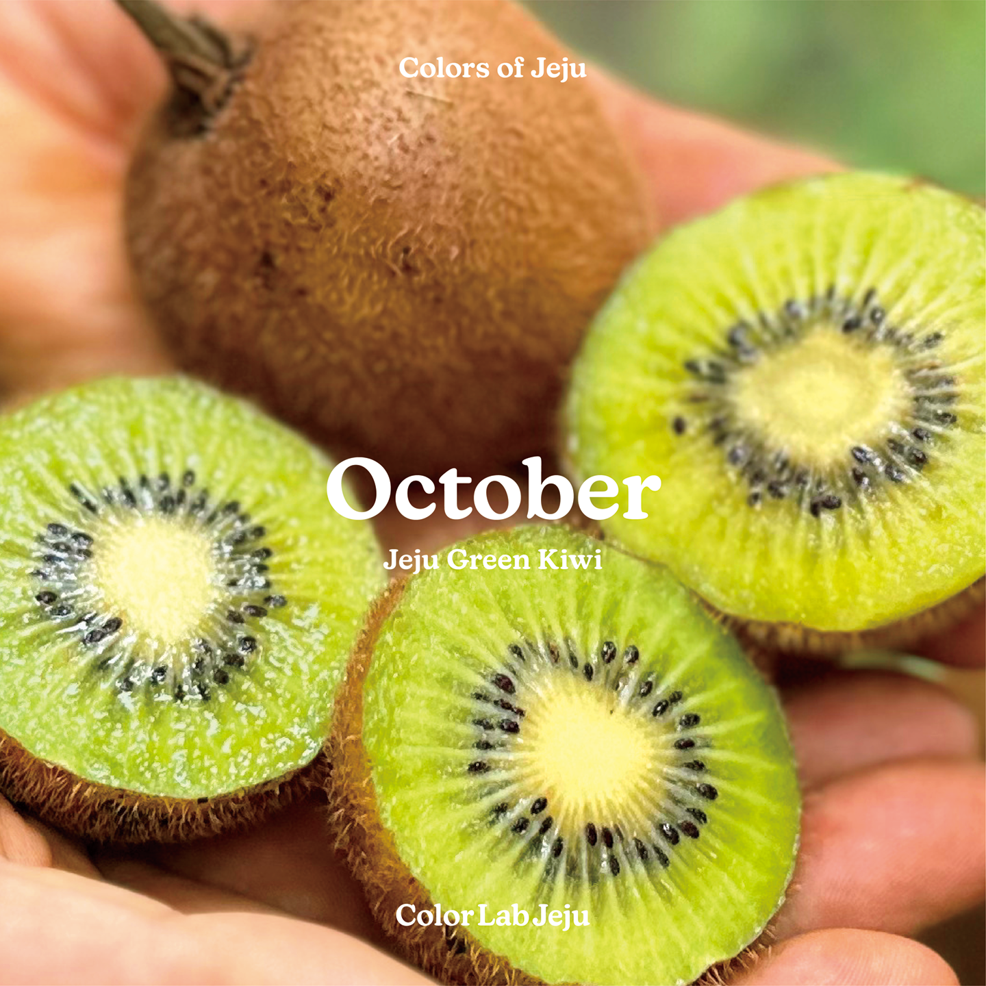 october_green kiwi-10.png