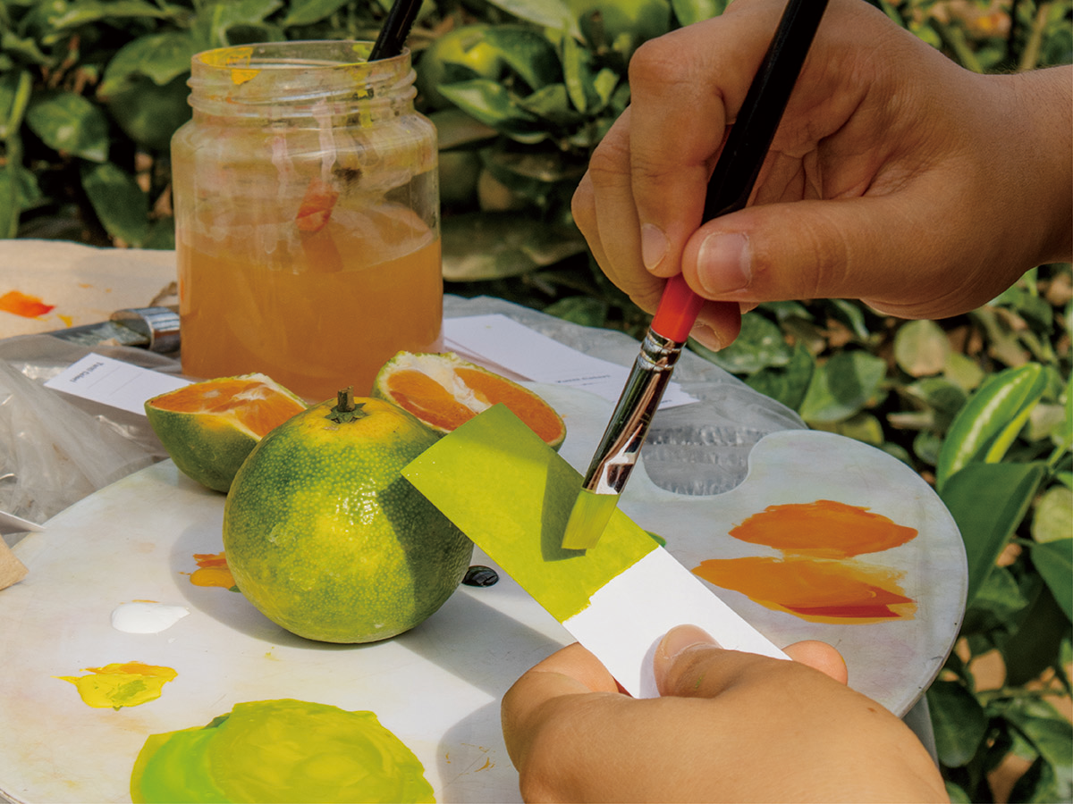 blog_september_young mandarin-06.png