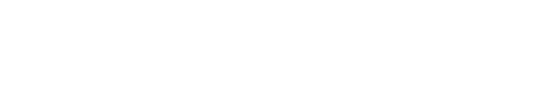 Firstsilicon Chinese