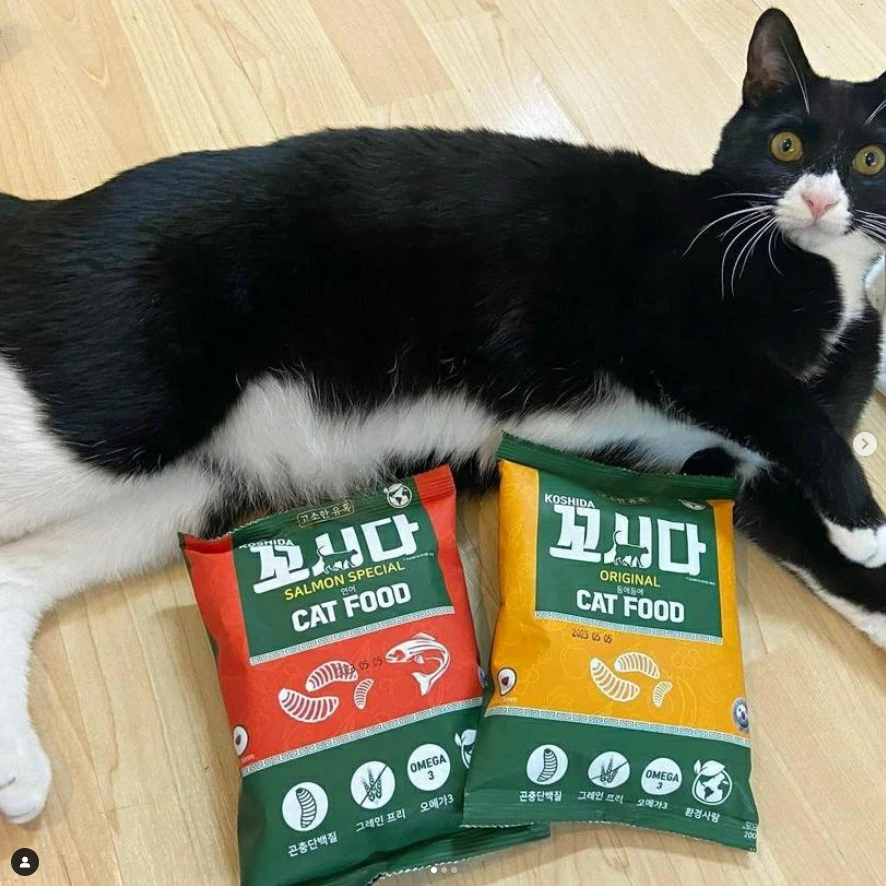 꼬시다 캣 동애등에 1kg : 꼬시다펫공식온라인쇼핑몰 꼬시다 캣 동애등에 1Kg : 꼬시다펫공식온라인쇼핑몰