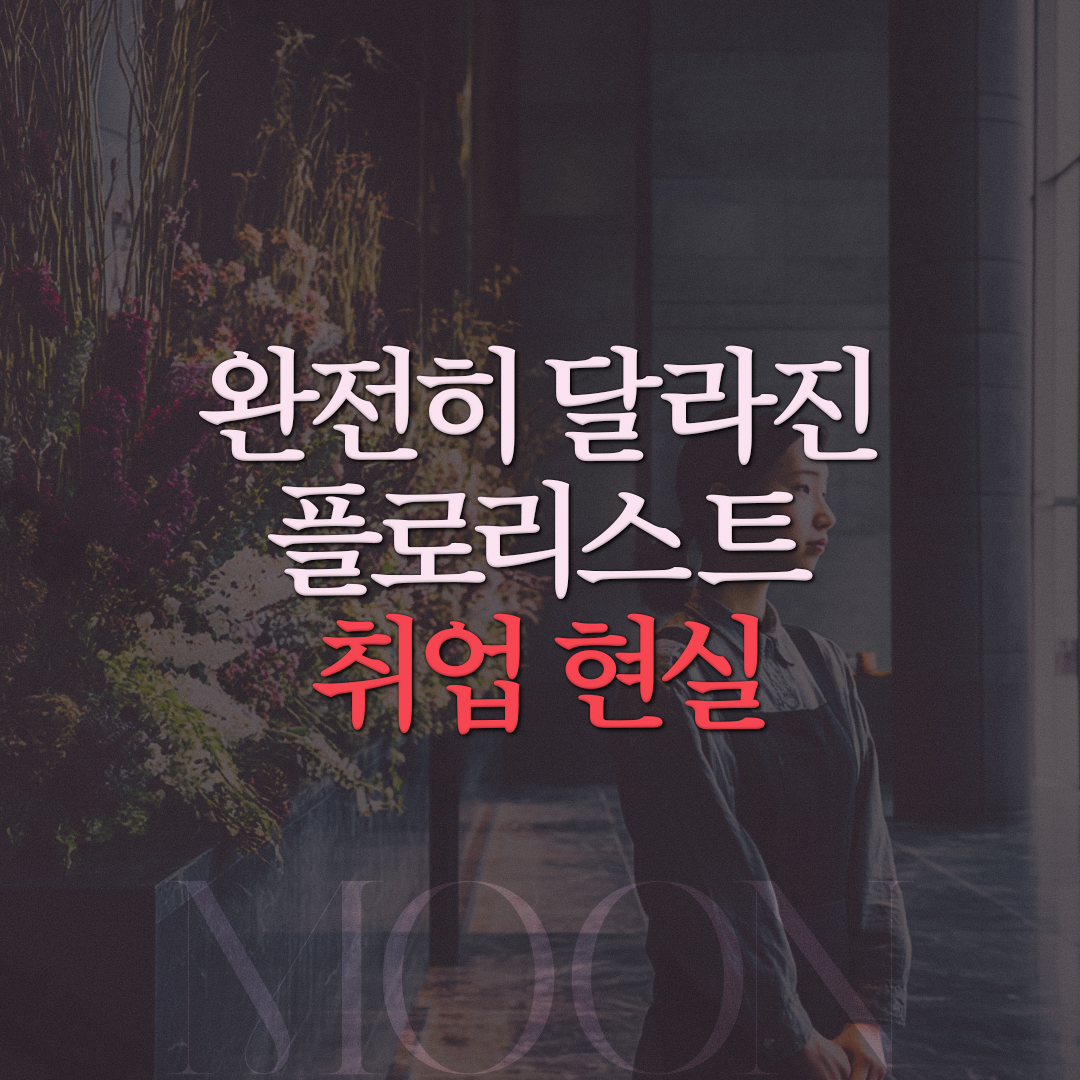 64b9a25e626c8.jpg