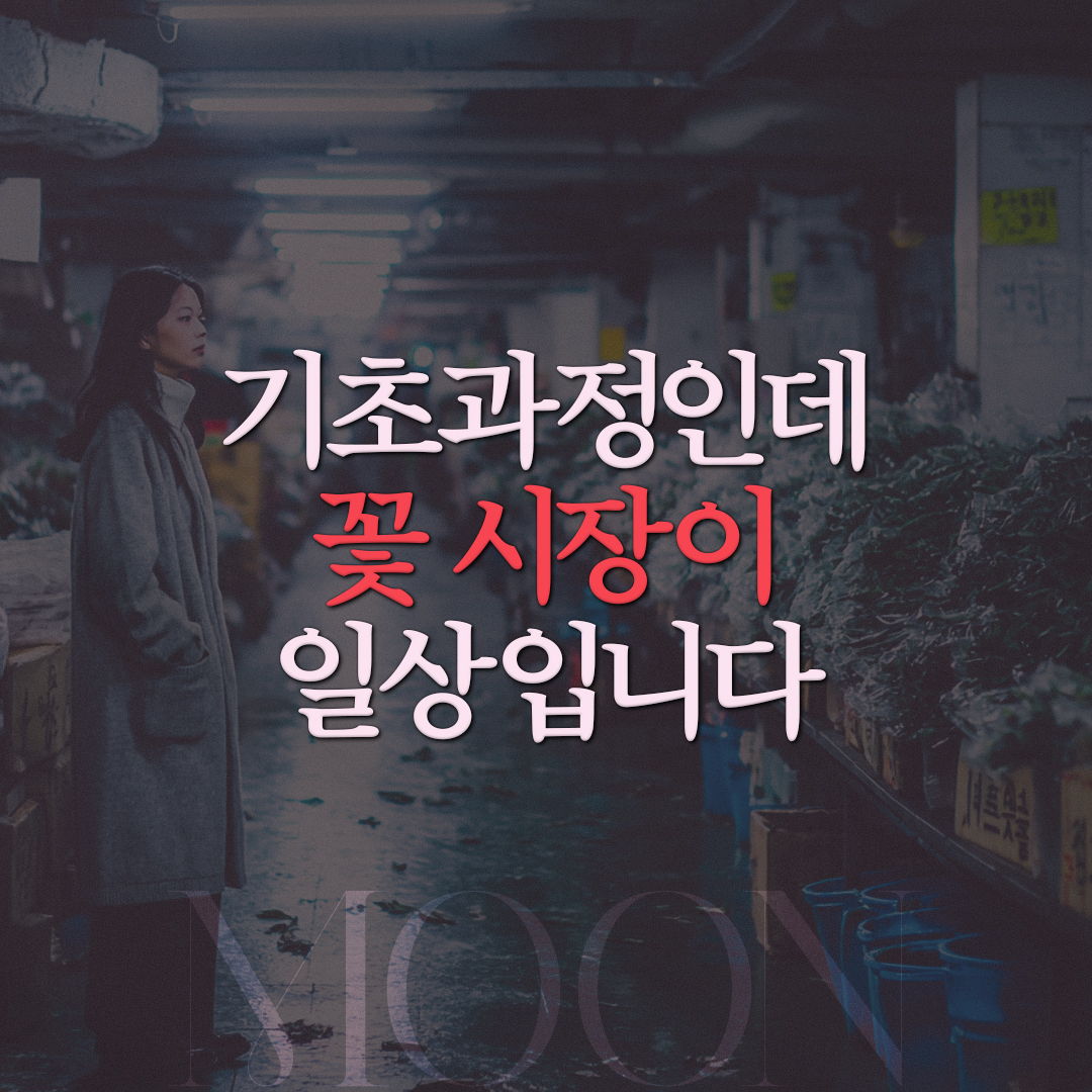 bd19ff67082b7.jpg