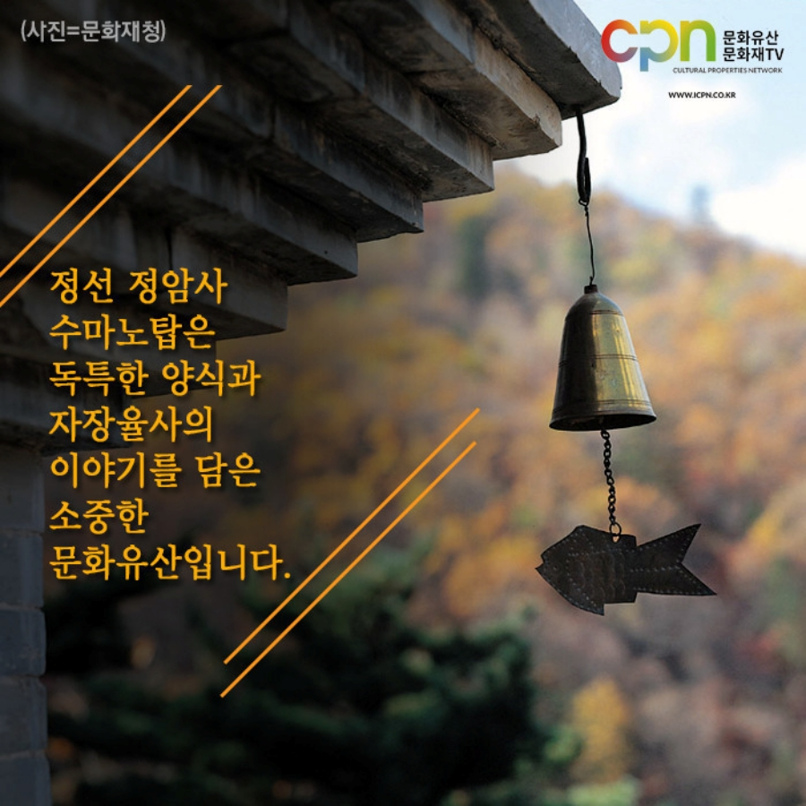 태백 해바라기축제(구와우마을)+시원한 용연굴+만항재 야생화축제+적멸보궁 정암사 복제