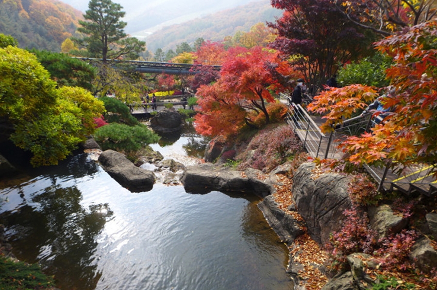 화담숲 가을단풍축제+여주 황학산 수목원+명성왕후 생가