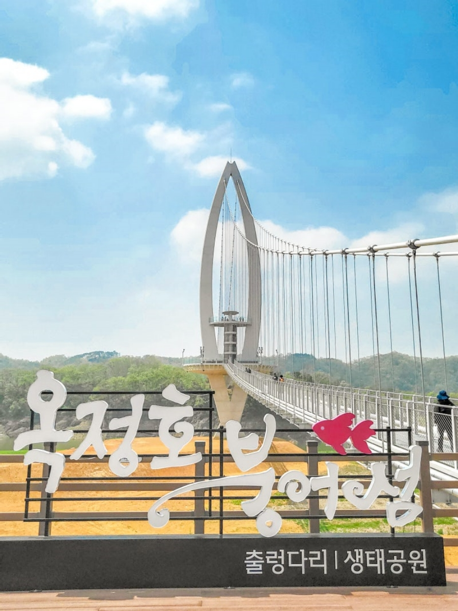 전국최대 정읍 구절초꽃축제+천만송이 임실치즈테마파크 국화꽃+옥정호 출렁다리+붕어섬 생태공원