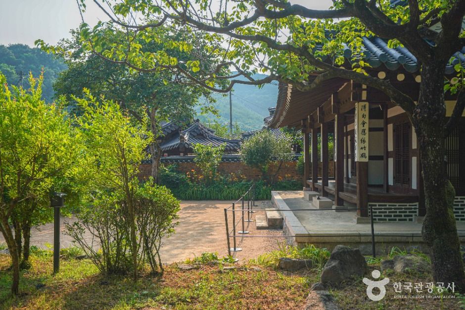 함안 강주해바라기 축제+무진정+다솔사+진주 월아산 수국축제+호암 이병철 생가+악양생태공원 금계국