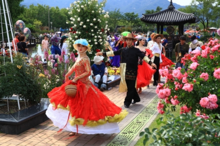곡성 세계장미축제(1004종의 세계 장미) 장성 황룡강 길동무 꽃길(5km)+태안사 명상 숲길