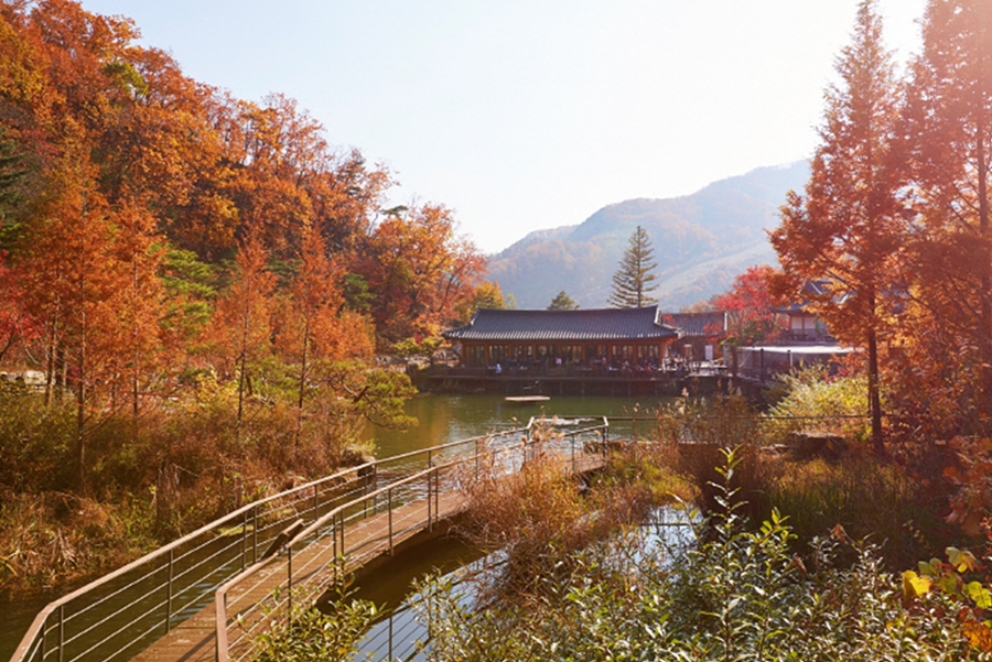 화담숲 가을단풍축제+여주 황학산 수목원+명성왕후 생가
