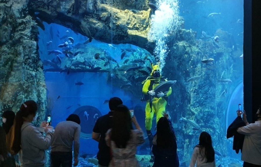 활옥동굴(11~15 ℃ 서늘해요)+동굴 카약체험+중앙탑 사적공원+탄금호 무지개길+충주아쿠아리움+괴산 선유동 계곡
