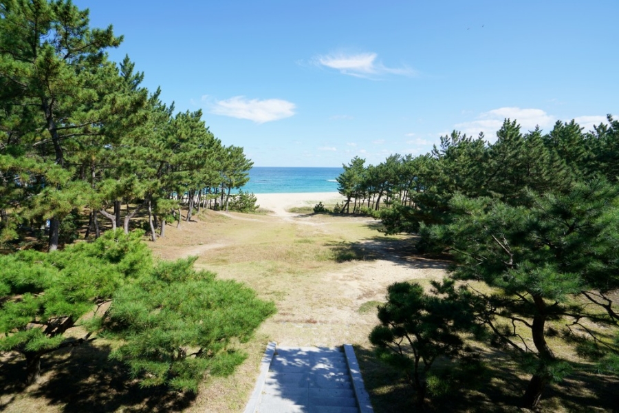 [울진] 바닷속 전망대+죽변 등대+폭풍속으로 세트장+관동팔경(망양정+월송정)+평해사구습지+바닷가 정자 금호정+촛대바위+물개바위