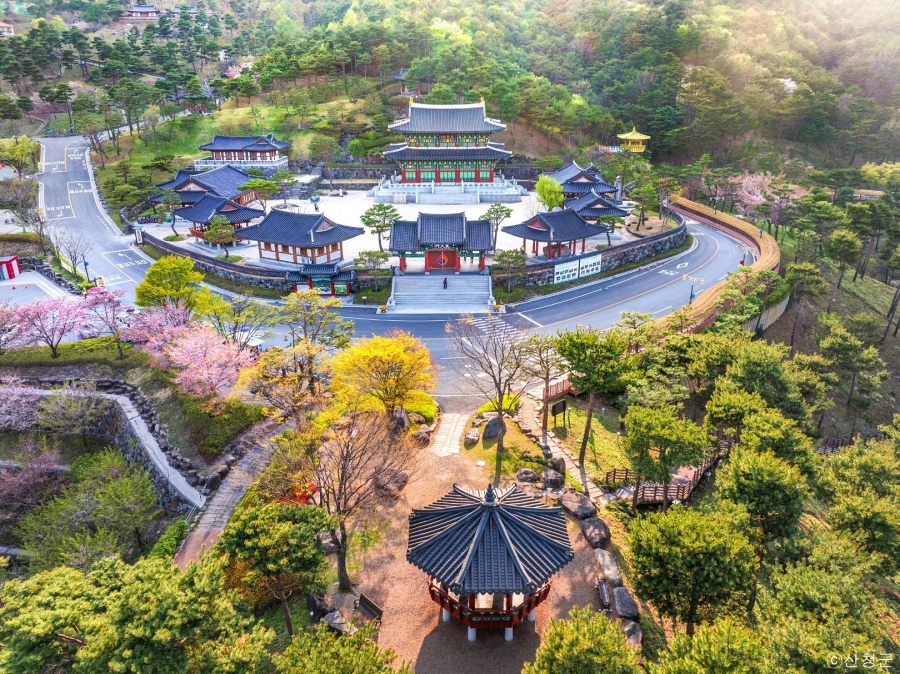합천 황매산 철쭉제+핫들생태공원 작약+동의보감촌+아름다운 사찰 수선사