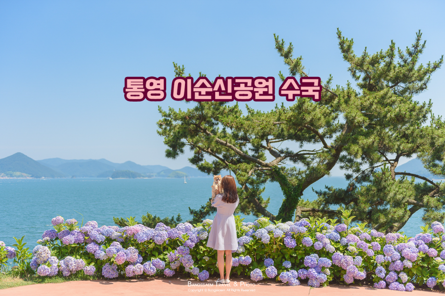 통영RCE세자트라숲+이순신공원 수국 산책로+달아전망대+통영 중앙전통시장+광도천 수국꽃길