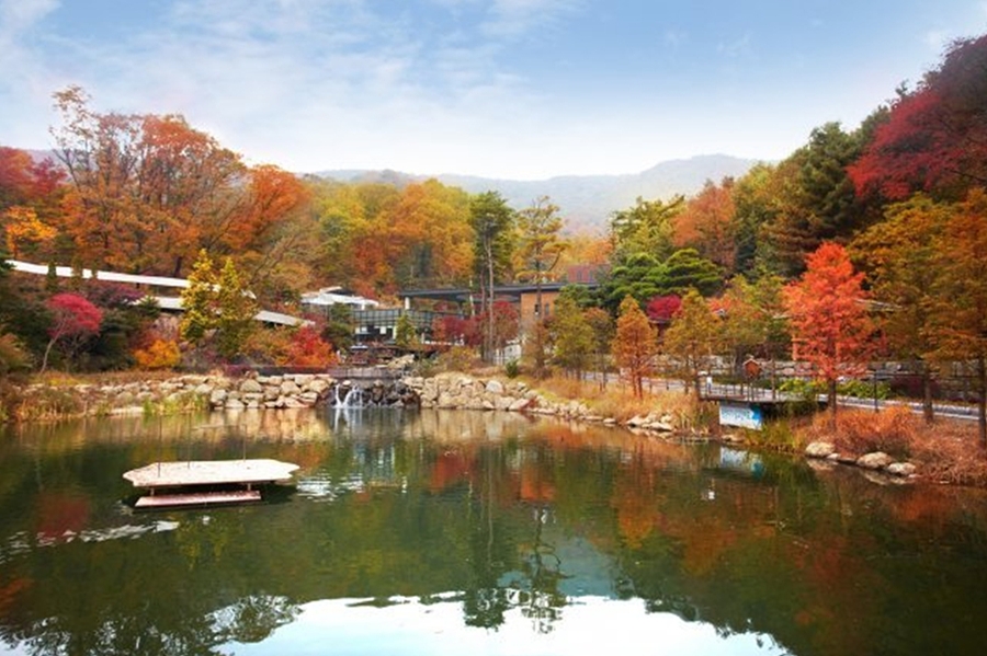 화담숲 가을단풍축제+여주 황학산 수목원+명성왕후 생가