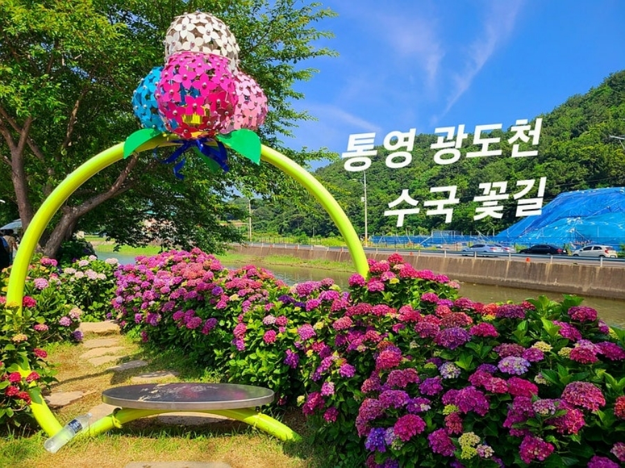 통영RCE세자트라숲+이순신공원 수국 산책로+달아전망대+통영 중앙전통시장+광도천 수국꽃길