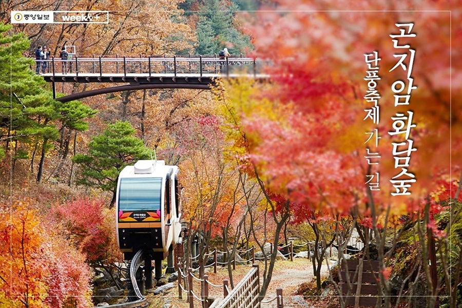 화담숲 가을단풍축제+여주 황학산 수목원+명성왕후 생가