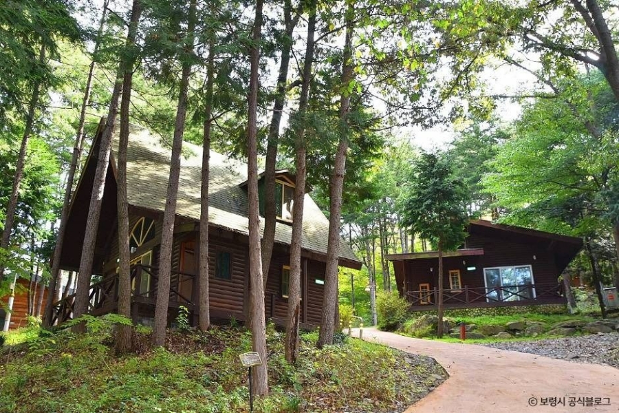 죽도 상화원(세상에서 가장 긴 지붕2km 산책길)+성주산 자연휴양림+청소역(택시운전사 촬영지)+충청수영성