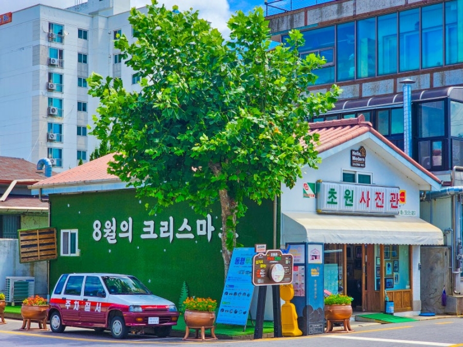 익산 천만송이 국화축제+군산 군대화거리+서천 신성리 갈대밭+황등석산 채석장+문헌서원