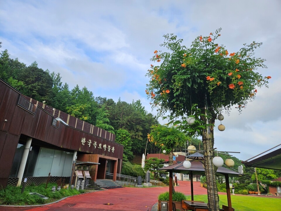 [논산 3사찰] 영주사+쌍계사+개타사+장태산자연휴양림+뿌리공원(효월드)