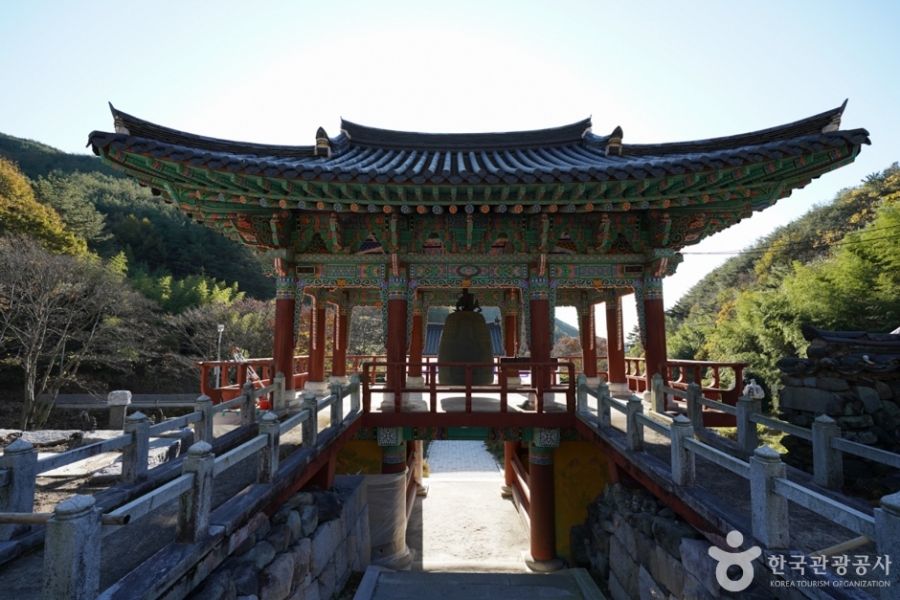 [3사찰] 진주 월아산 수국 수국 페스티벌+사천 다솔사(천년고찰)+진주 응석사+진주성 호국사