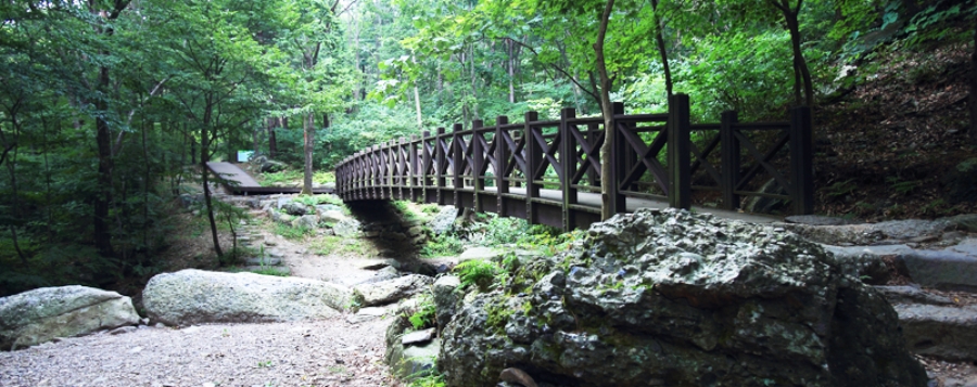 죽도 상화원(세상에서 가장 긴 지붕2km 산책길)+성주산 자연휴양림+청소역(택시운전사 촬영지)+충청수영성