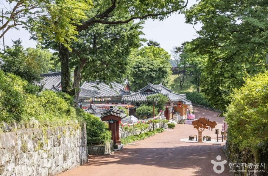 [3사찰] 진주 월아산 수국 수국 페스티벌+사천 다솔사(천년고찰)+진주 응석사+진주성 호국사