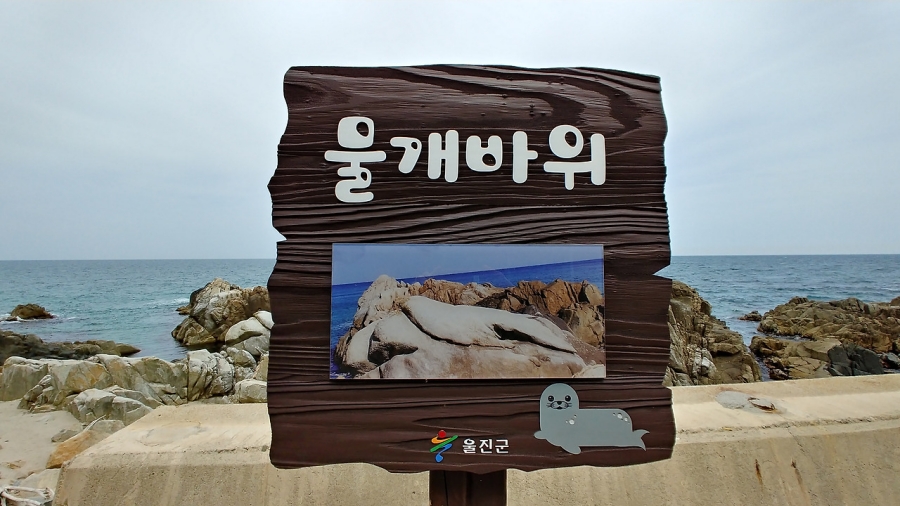 국립울진해양과학관+바닷속 전망대+왕피천 공원(관동팔경 망양정+월송정)+평해사구습지+바닷가 정자 금호정+촛대바위+물개바위