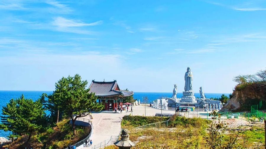 [양양 명품사찰] 낙산사+휴휴암+송지호 관망타워+동해안 3번째 큰섬 죽도(대섬)