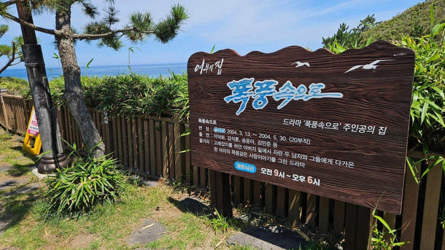 [울진] 바닷속 전망대+죽변 등대+폭풍속으로 세트장+관동팔경(망양정+월송정)+평해사구습지+바닷가 정자 금호정+촛대바위+물개바위