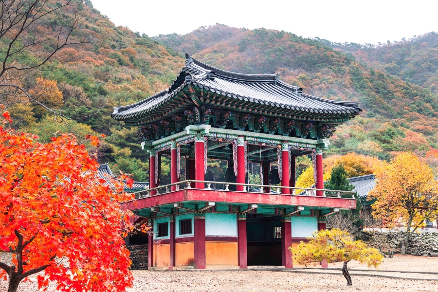 [논산 3사찰] 영주사+쌍계사+개타사+장태산자연휴양림+뿌리공원(효월드)