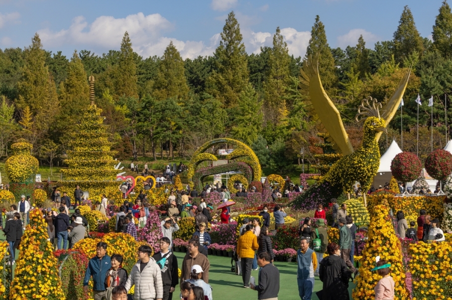 익산 천만송이 국화축제+서천 신성리 갈대밭+나바위성당+황등석산 채석장+문헌서원