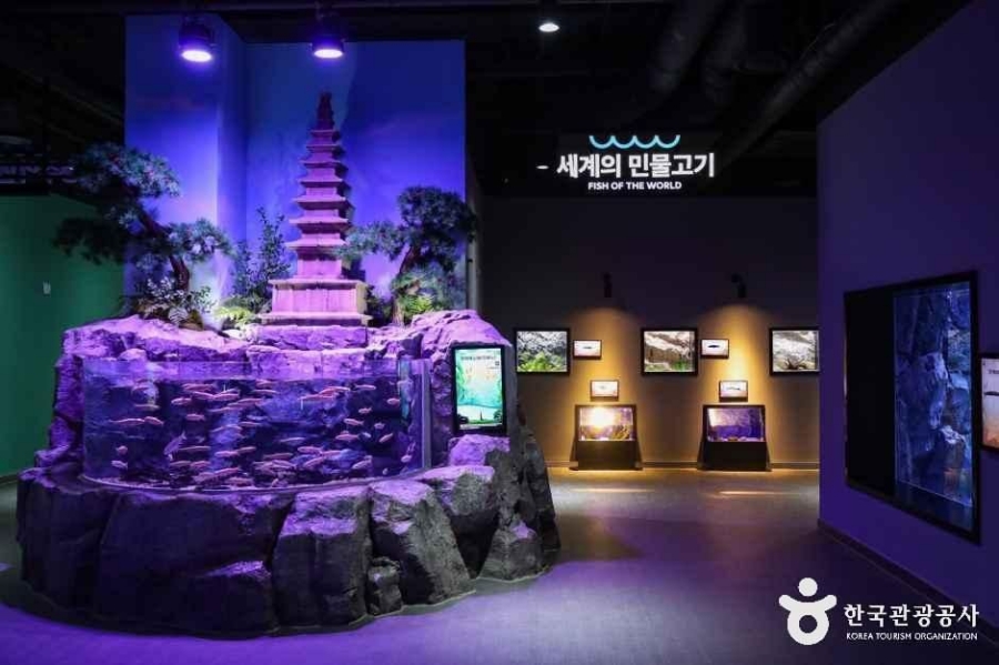 활옥동굴(11~15 ℃ 서늘해요)+동굴 카약체험+중앙탑 사적공원+탄금호 무지개길+충주아쿠아리움+괴산 선유동 계곡