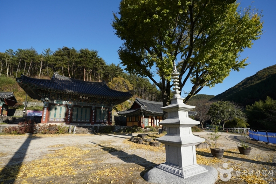 [3사찰] 진주 월아산 수국 수국 페스티벌+사천 다솔사(천년고찰)+진주 응석사+진주성 호국사