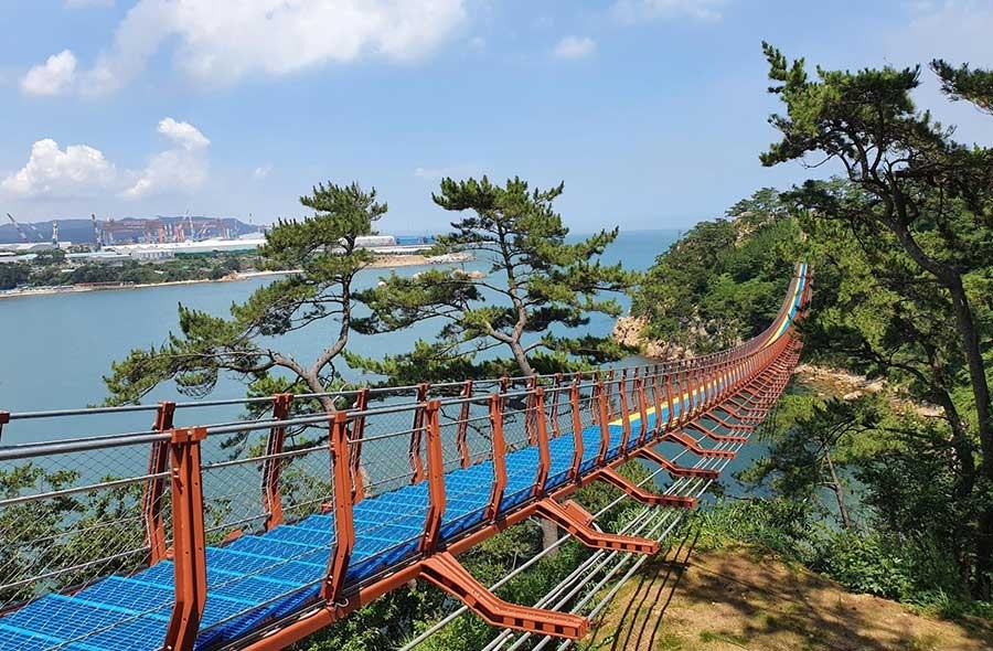 장생포 수국 페스티벌+대왕암 공원 출렁다리+외고산 옹기마을