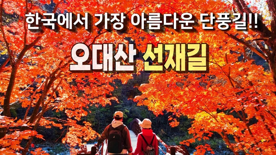 오대산 월정사+선재길+상원사 단풍길(트레킹 또는 관광)+평창 바위공원